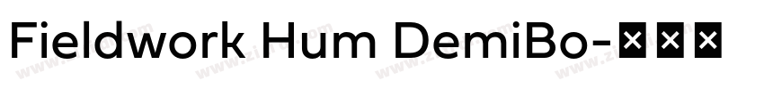 Fieldwork Hum DemiBo字体转换